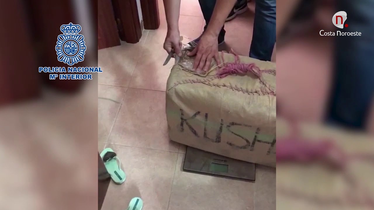 Noticias, Detenidos miembros de una organizaci&oacute;n especializada en introducir hach&iacute;s con narcolanchas