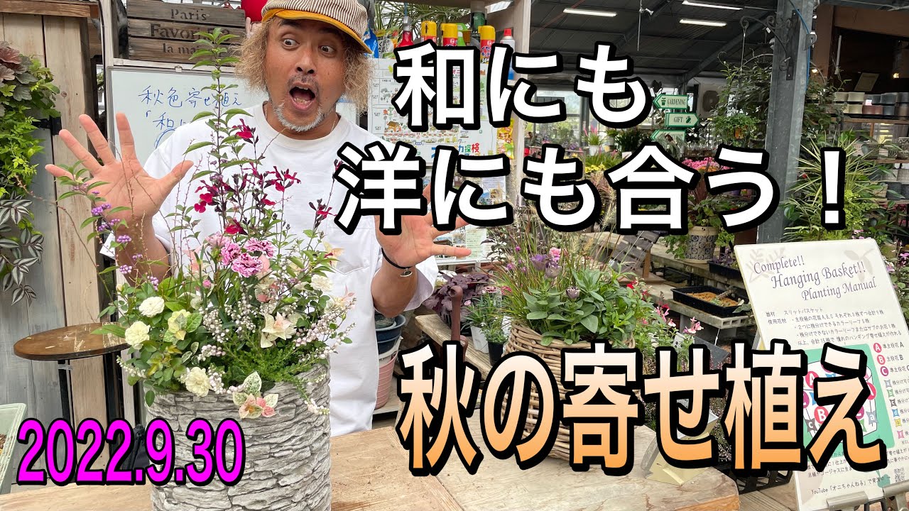【寄せ植え】和にも洋にも！どちらでも合う☆秋の寄せ植え作り