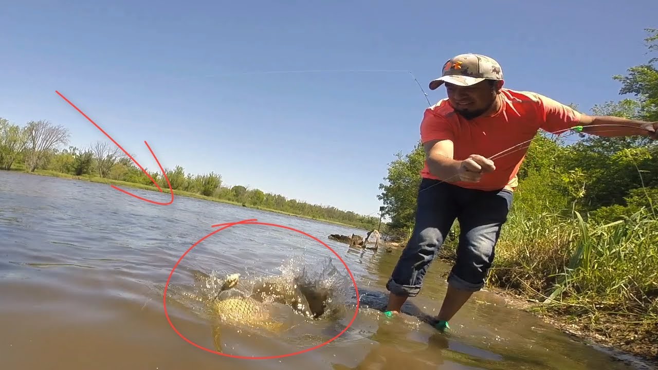 Que Gran Día de Pesca de Carpa , La Carnada Favorita de Todos los Peces