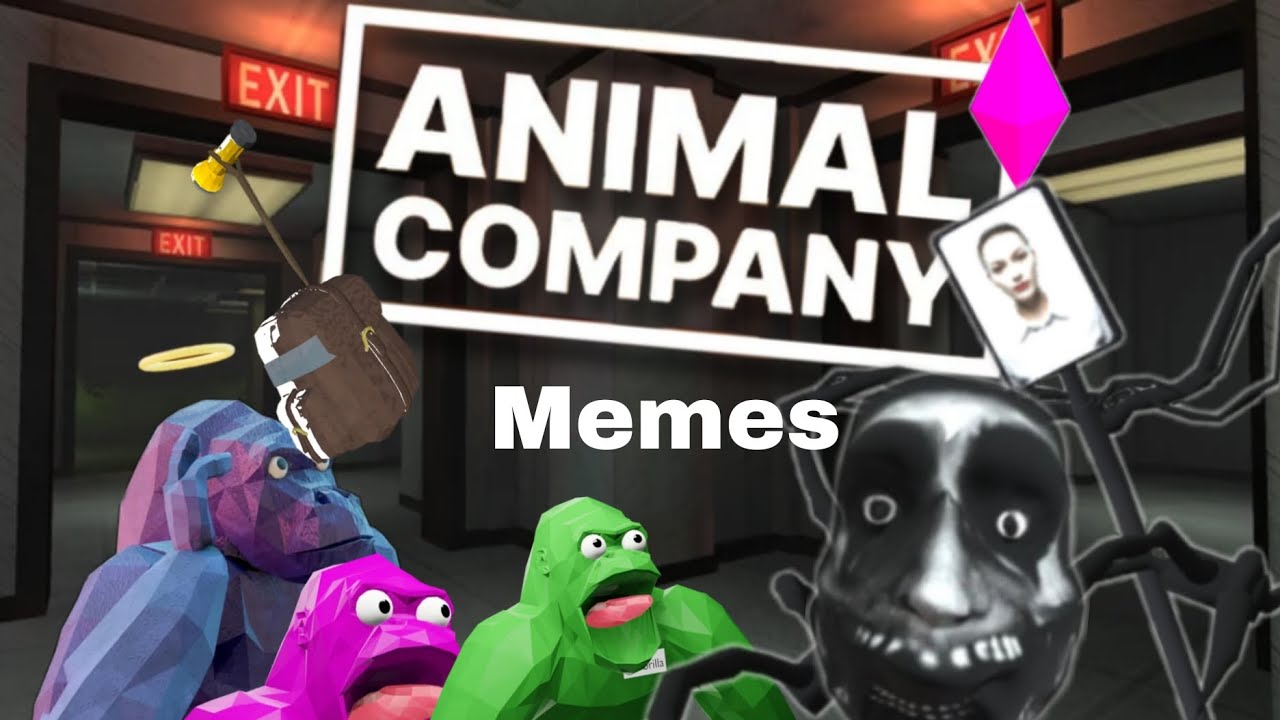 Animal company meme compilation 