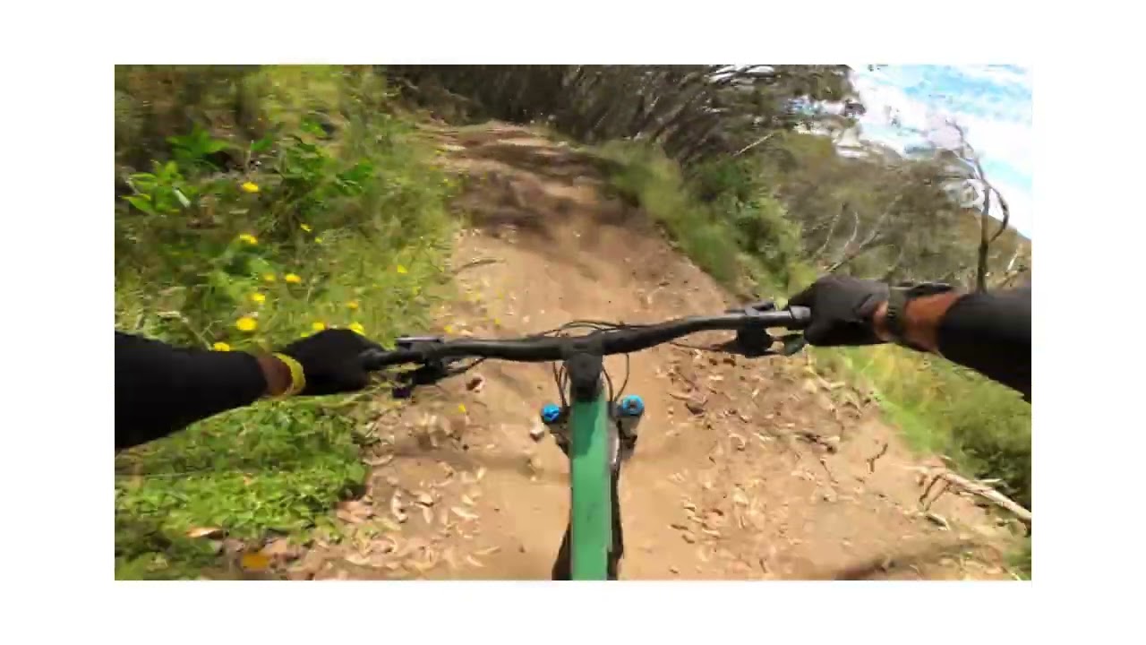 ABOM MT BULLER