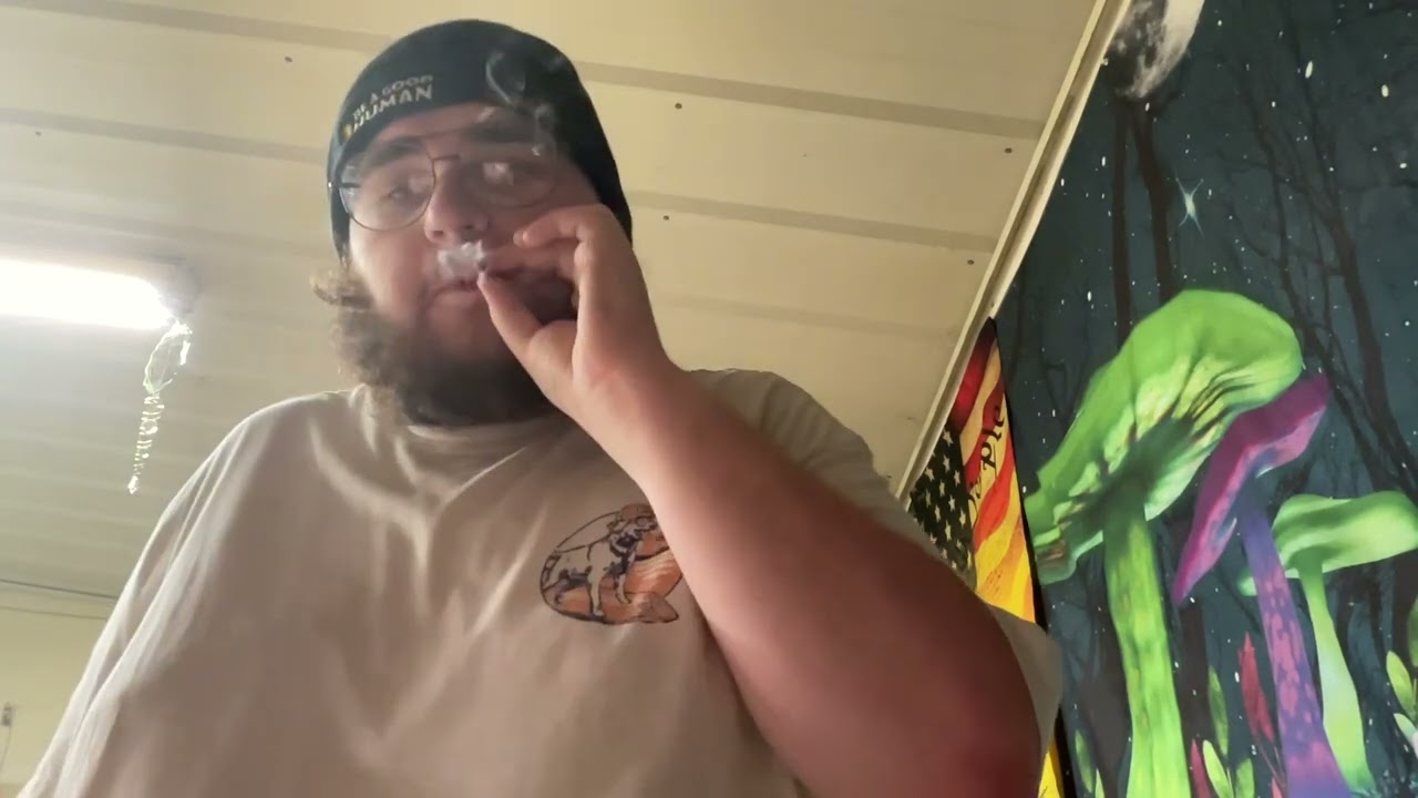 &Shine&rsquo;s Purple Punch Indica Pre Roll 14.60%￼ THC