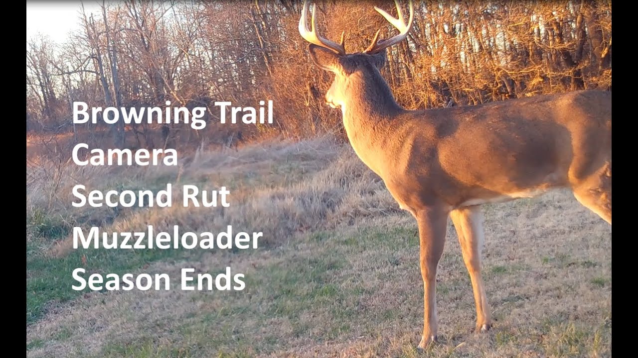 Browning Trail Cam Muzzleloader Season Ends