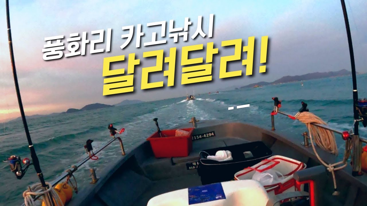 감성돔 잡고 싶나요? 카고낚시대 들고 풍화리로 달려 달려 지금 이곳 기본 이상은 합니다