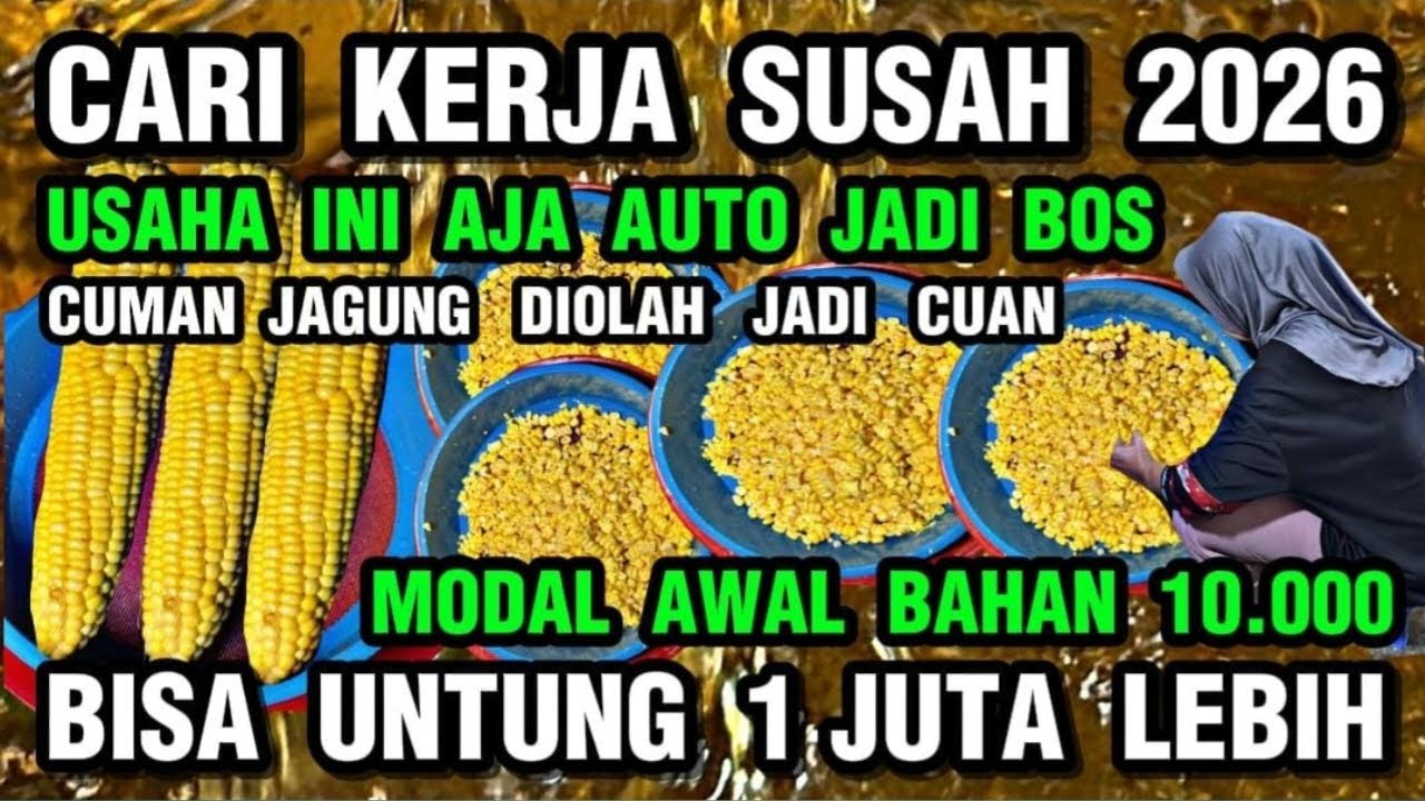 CARI KERJA SUSAH 2026 - USAHA INI AJA MODAL JAGUNG DIOLAH BISA JD CUAN JUTAAN SEHARI DIAJARI BUATNYA