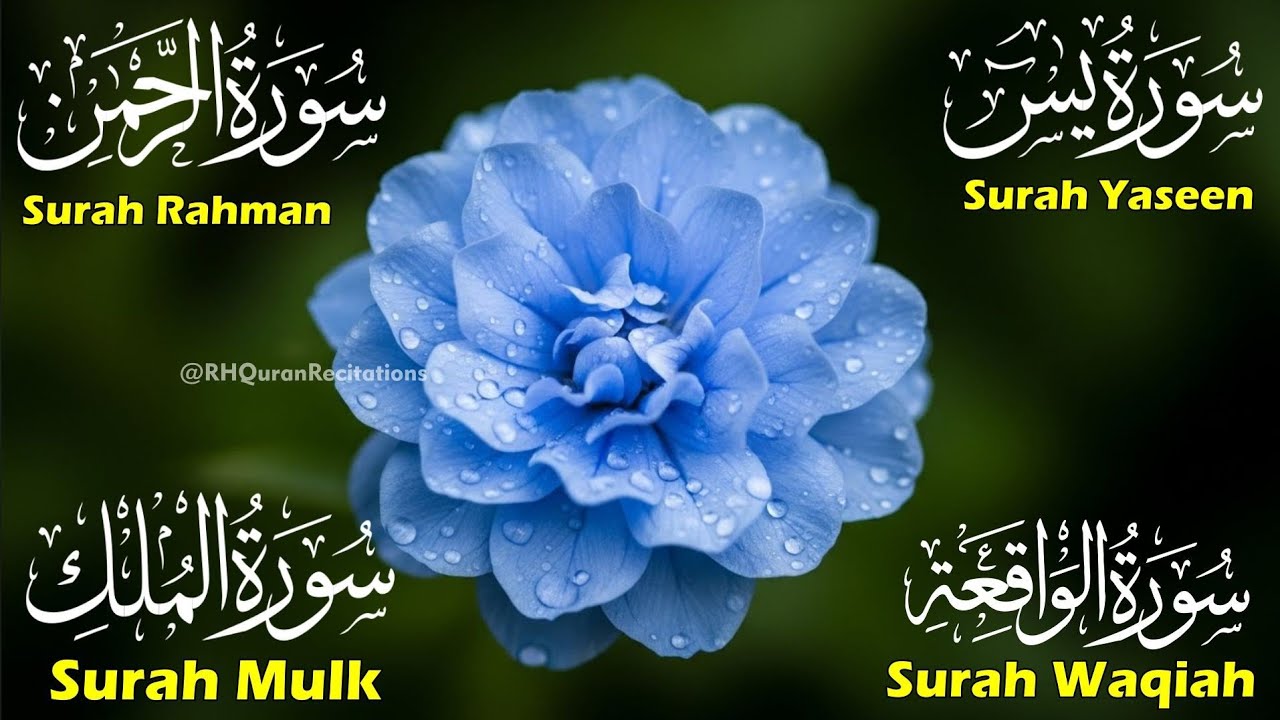 Beautiful Surah Yaseen (Yasin) |Surah Rahman | Surah Waqiah | Surah Mulk | Episode 50