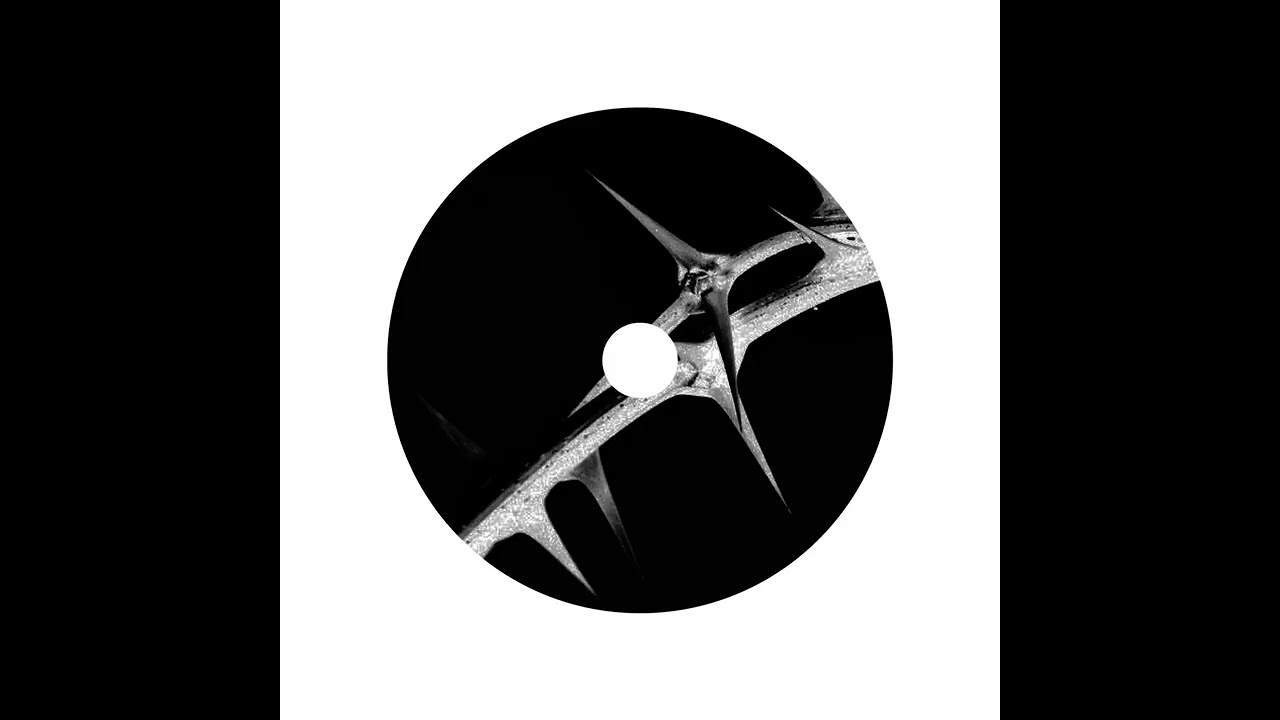 AMANATIDZE - Mechanical Vector (official audio)