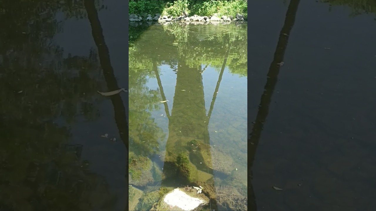 Огромный воблер для трофейной щуки #fishing #diy #wobbler #3d #model #handmadelure #angeln #nature