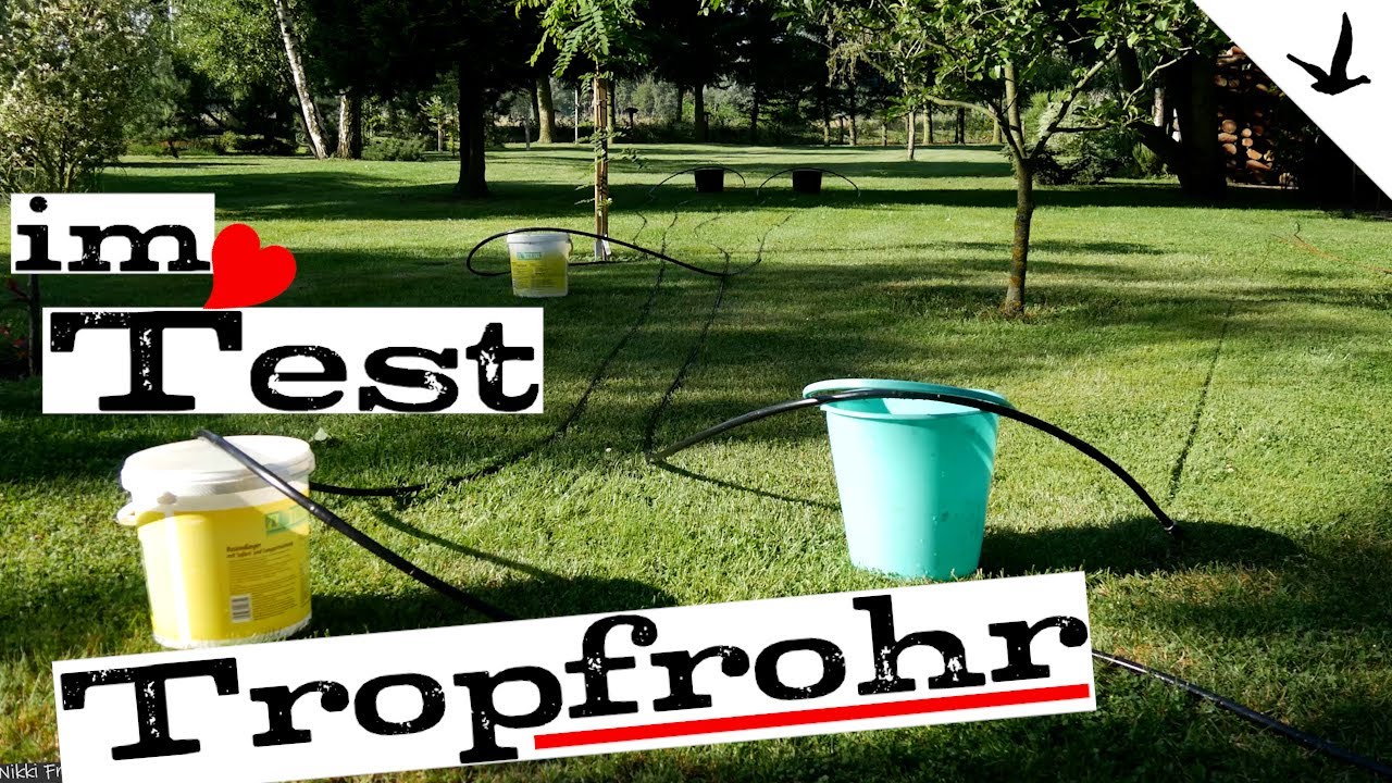 Tropfschlauch /Tropfrohr Gartenbewässerung von Gardena✅oberirdisch, beliebig erweiterbar im Test.