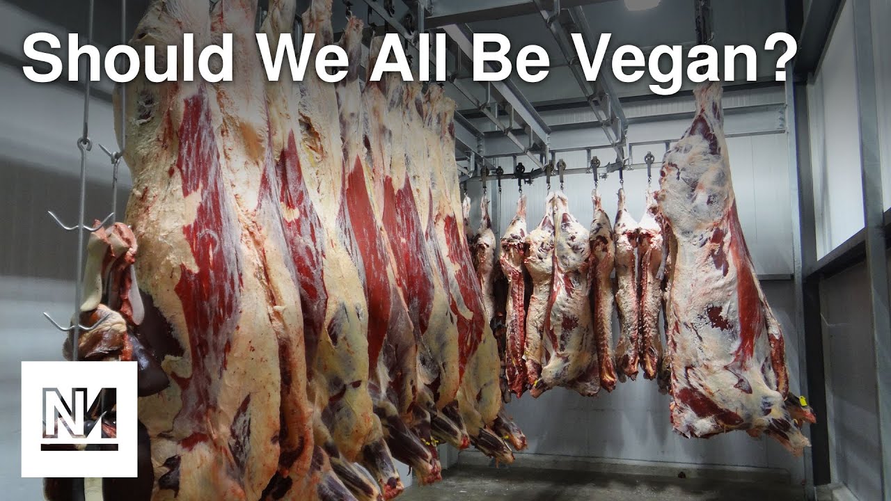 Should We All Be Vegan? | Interview with Peter Singer