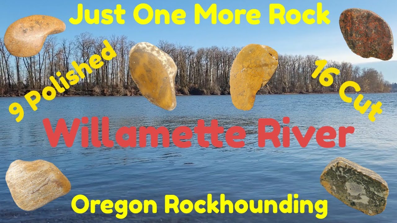 Rockhounding Willamette River - Portland Oregon - Polishing 9 & Cutting 16 Rocks - What's Inside?