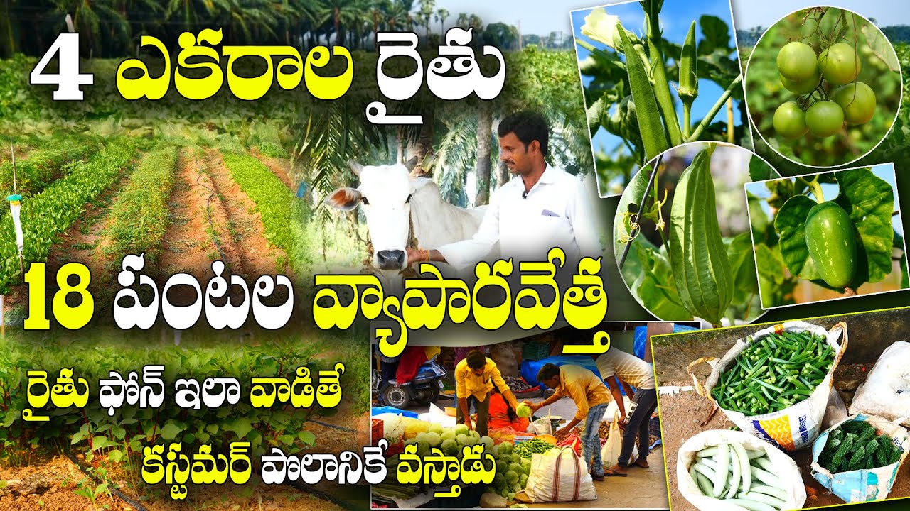 వాట్సాప్ ఇలా వాడితే మీ వ్యవసాయం పండగే | Technology Farming | Rambabu