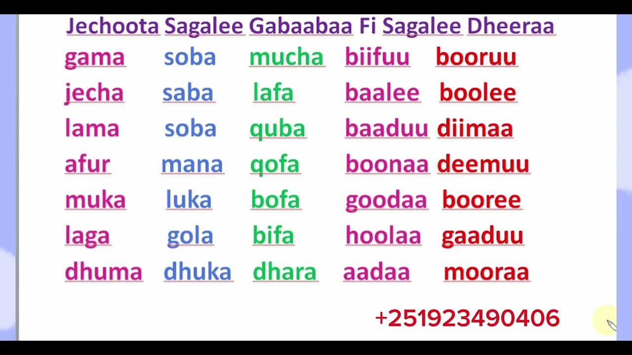 ✍️Jechoota Sagalee Gabaabaa Fi Sagalee Dheeraa Bakka Tokkoti # Learn Afaan Oromoo #Amharic English 
