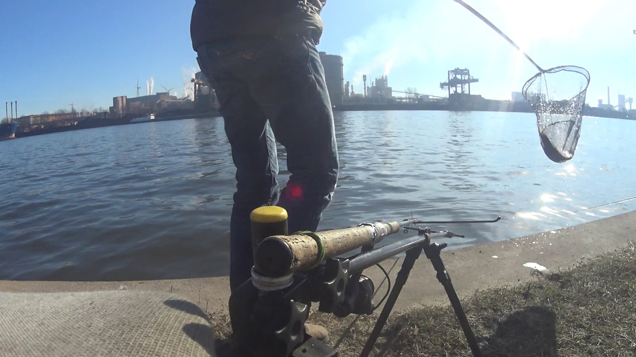 Vissen op brasem  kanaal Gent Terneuzen februari