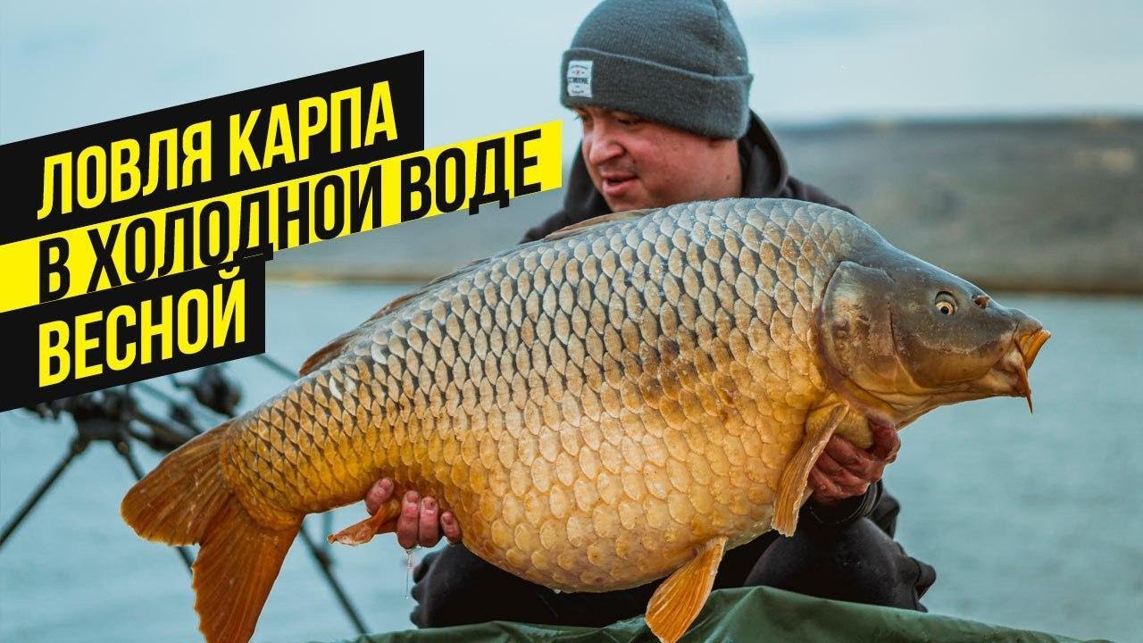 Ловля КАРПА в МАРТЕ, в ХОЛОДНОЙ воде. КАРПФИШИНГ на водоеме ПРОСЯНКА. ФИЛЬМ. ЧАСТЬ 2