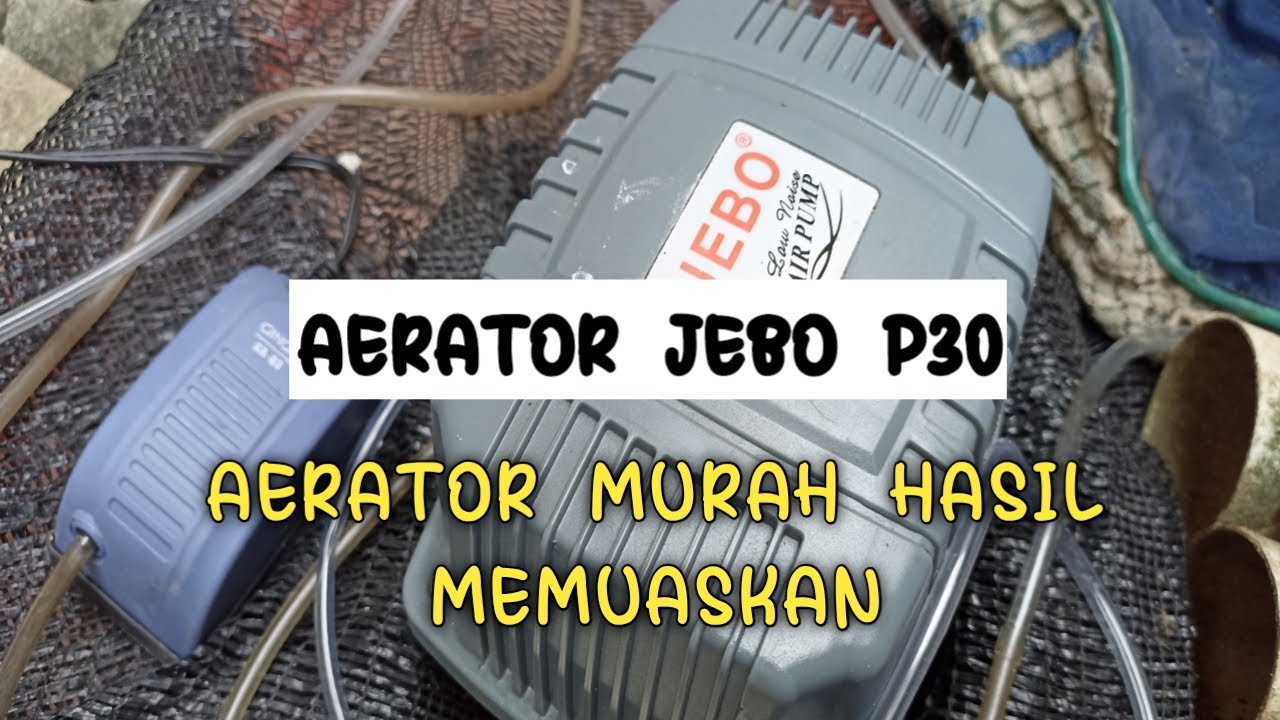 REVIEW AERATOR JEBO P30 HASIL MEMUASKAN