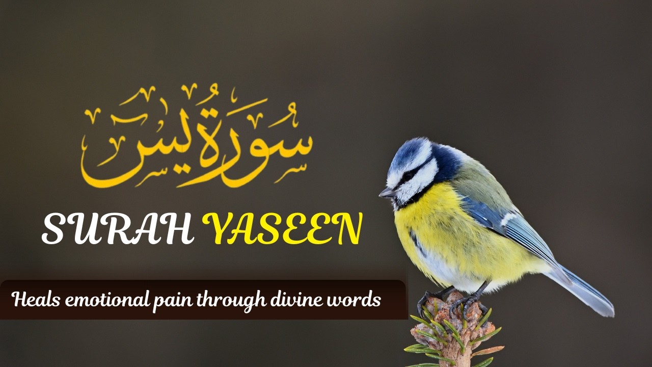 Surah Yaseen | Beautiful & Heart-Touching Recitation | Mishary Al-Afasy