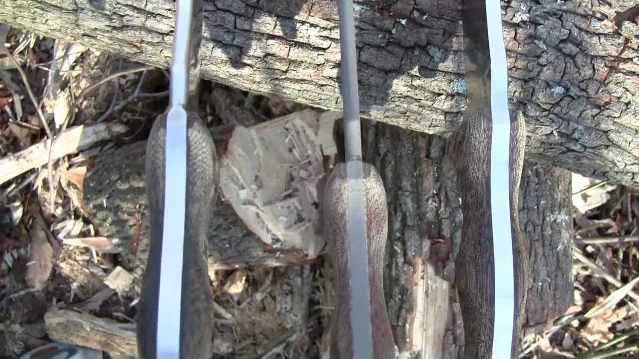 Busse NMFBMLE, NMFBM, FBMLE Spine Shot