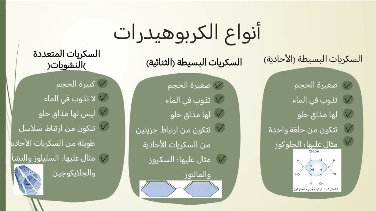 الكربوهيدرات للصف التاسع