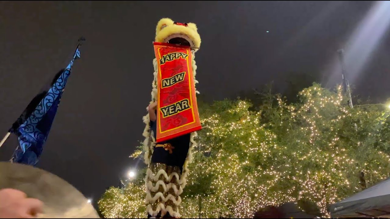 HV Lion Dance Bench Routine - Oh My Gogi - Houston, TX