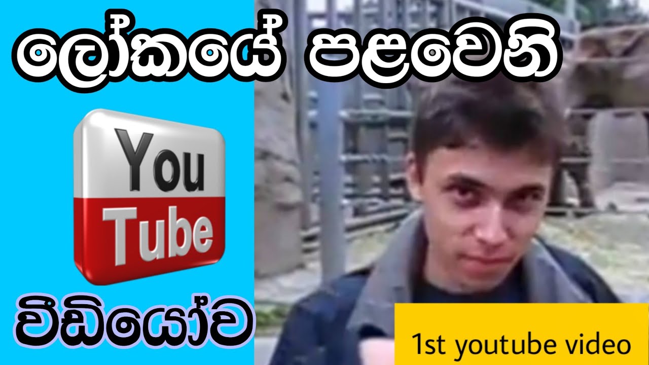 FIRST Youtube video in the world|Me at the zoo|Jawed karim | jawed karim sinhala|World first video