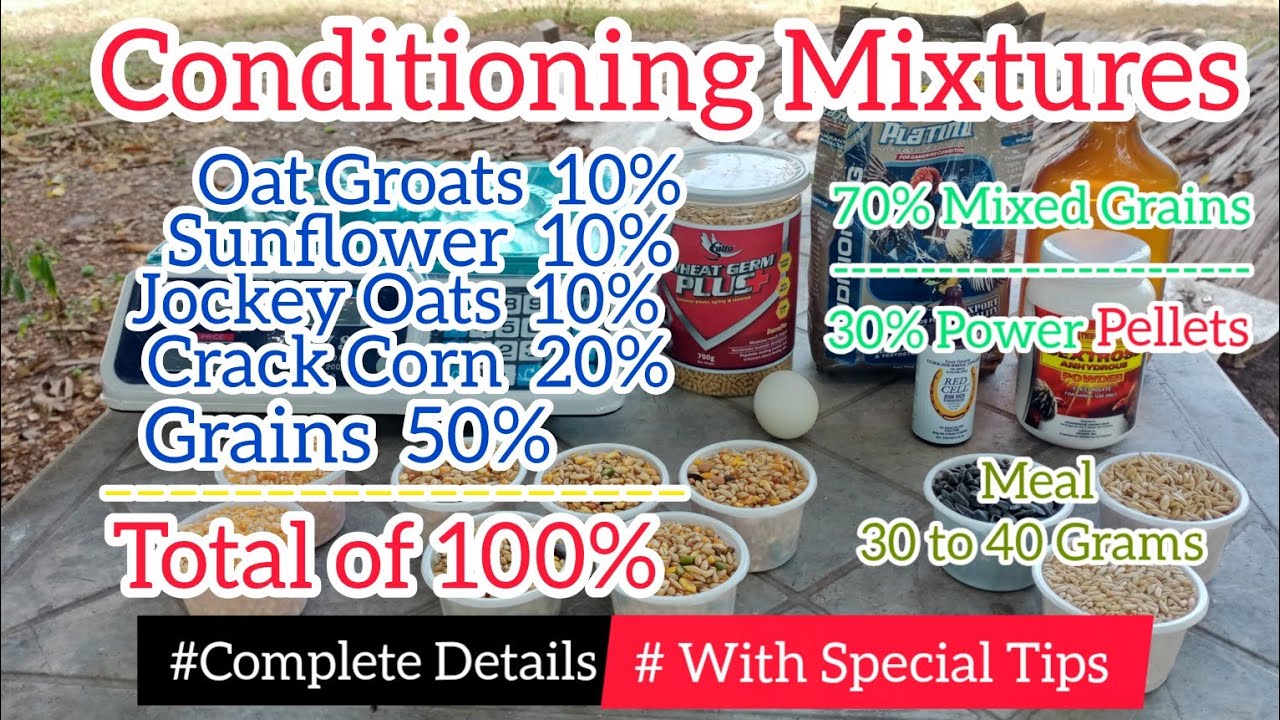 Conditioning Feeding Mixtures #Complete Details #With Special Tips