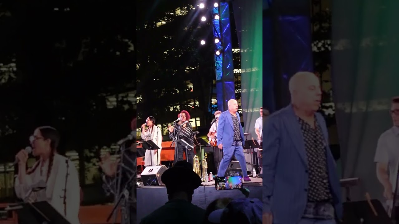 Steven Bernstein's Millennial Territory Orchestra Bryant Park 