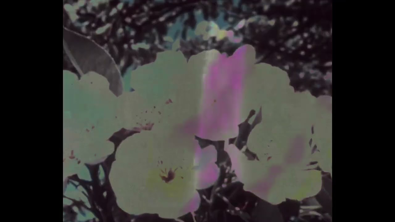 The Danse Society - Somewhere (Fan Made Music Video)