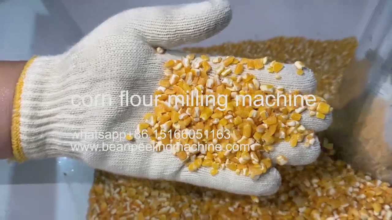 Grain processing machinery/1TPH maize Cleaning Peeling grits and flour grinding machine line