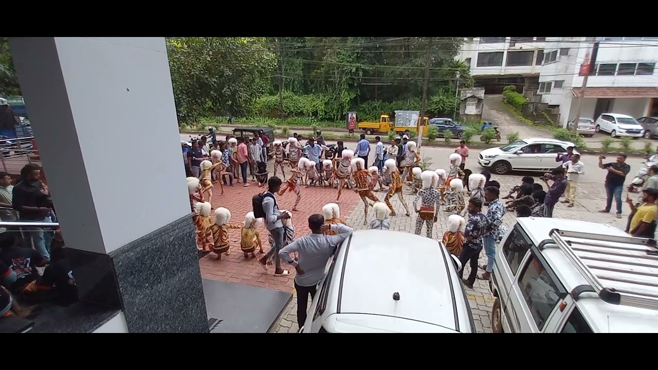 Pili Vesha ( Tiger Dance) | Friends Gundalike Tigers | Krishna Janmashtami | Festival