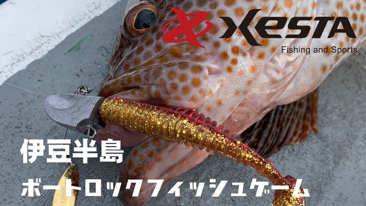 【XESTA TV】伊豆半島ボートロックフィッシュゲーム!