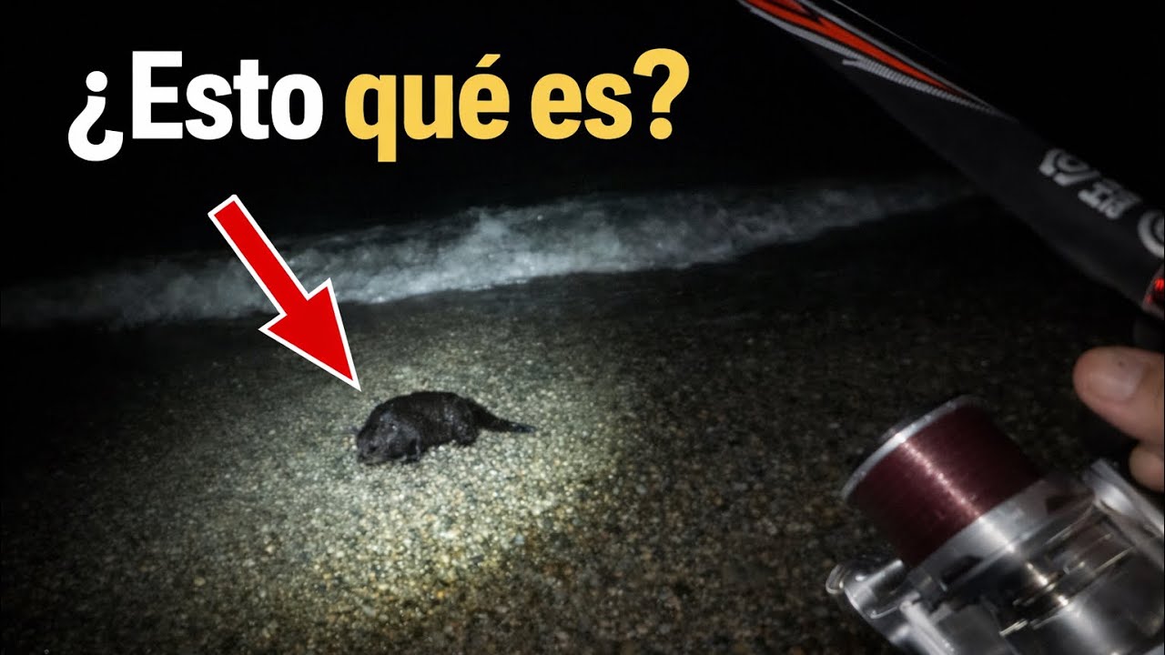 NOCHE DE PESCA Y PROBANDO EQUIPO NUEVO‼️