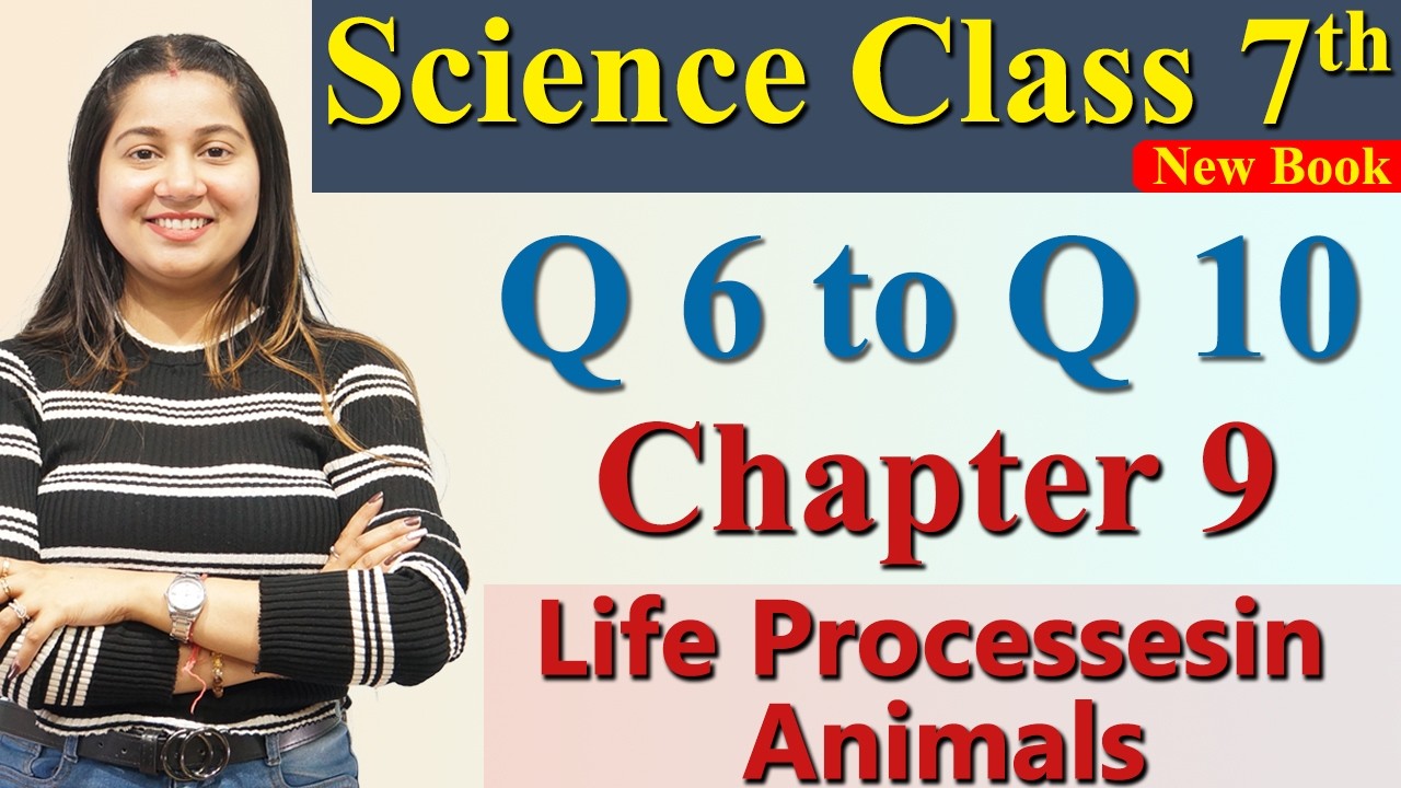 Q 6 to Q10  - Chapter 9 Part 6 - Life Processesin Animals - Science Curiosity Class 7th NCERT CBSE