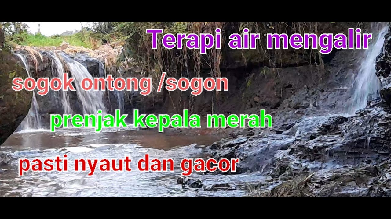 terapi sogon air mengalir,#terapi #terapiairmengalir #terapiair #terapisogon