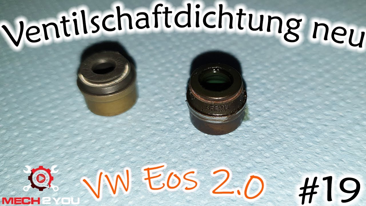 🛠️#19 Ventilschaftdichtung beim VW EOS wechseln macht nur Probleme | Nockenwellen einbauen