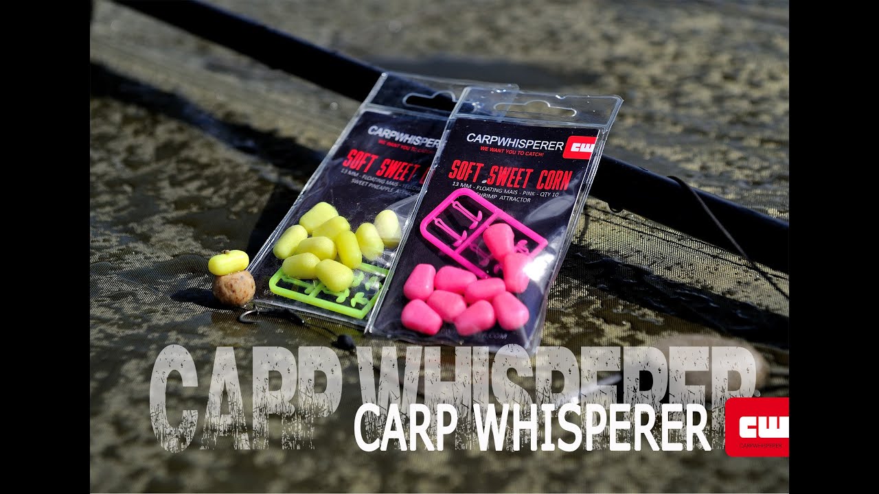 DE BESTE KARPERTIPS # CARP WHISPERER TV