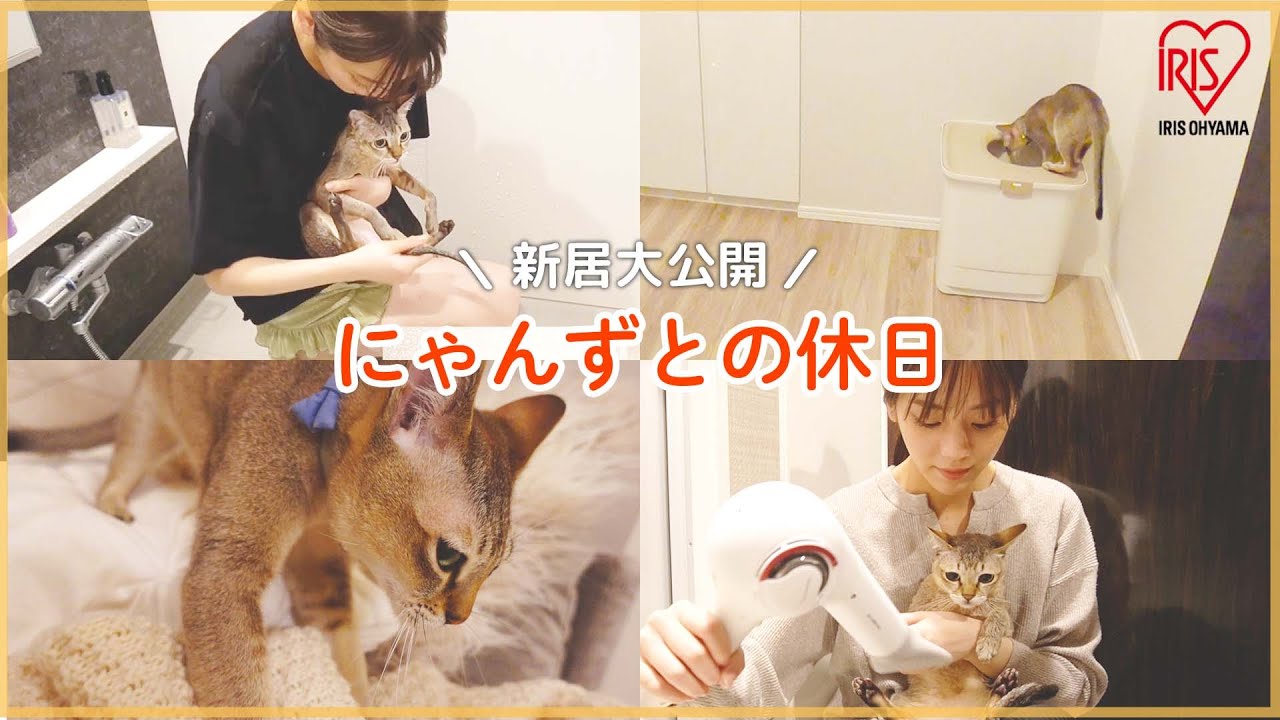 【vlog】貴島明日香のにゃんずとの休日：お風呂,トイレ事情,爪切り,お昼寝etc...