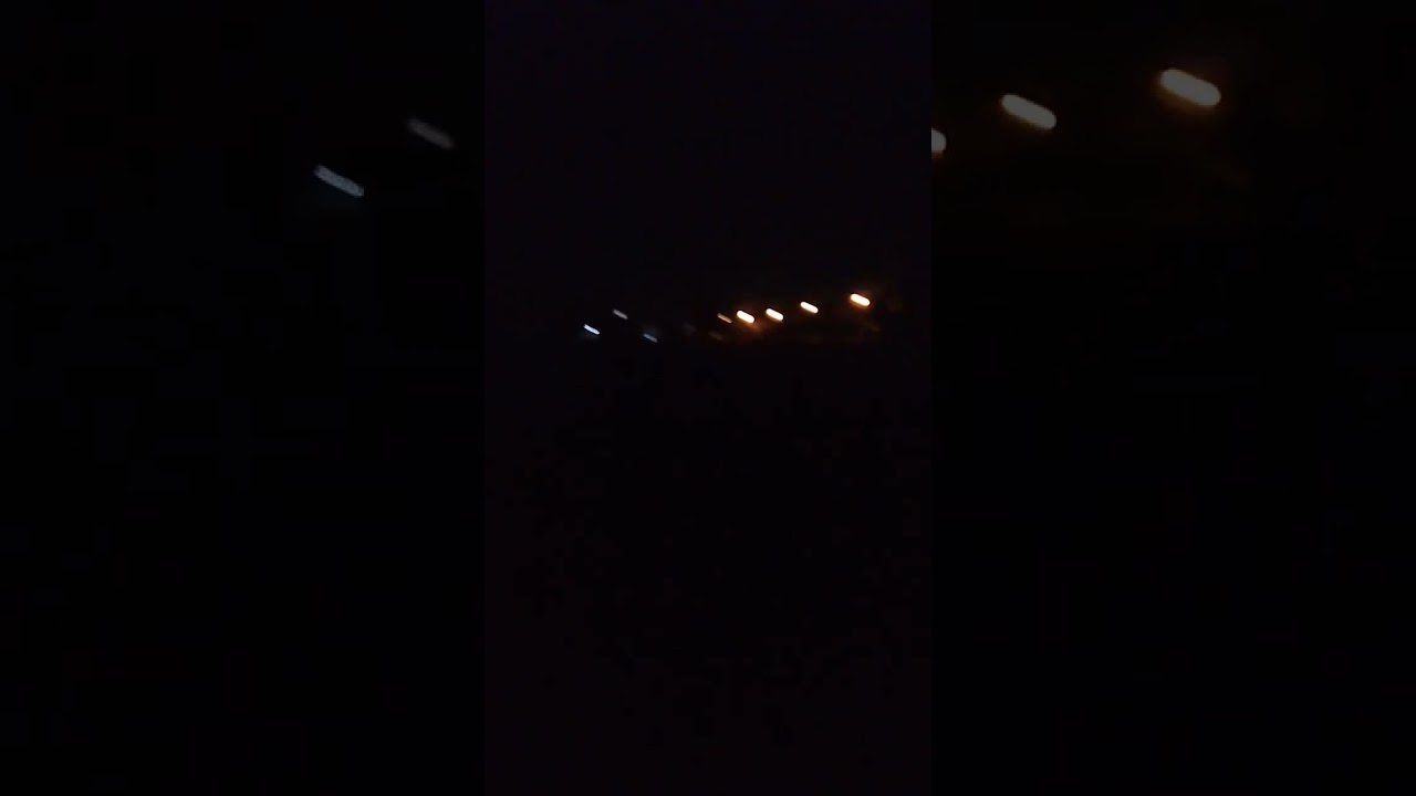 هل يساعد التغريد في هواية تربية الحسون ؟ الإجابة في الفيديو مع بعض القصص والتجارب📣📢🇩🇿👍