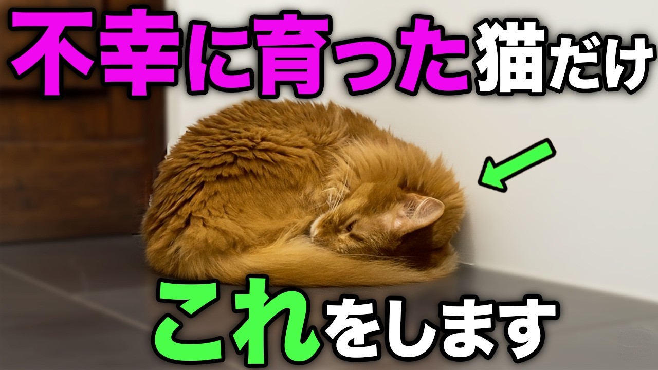 不幸せな猫だけが見せるストレス行動12選
