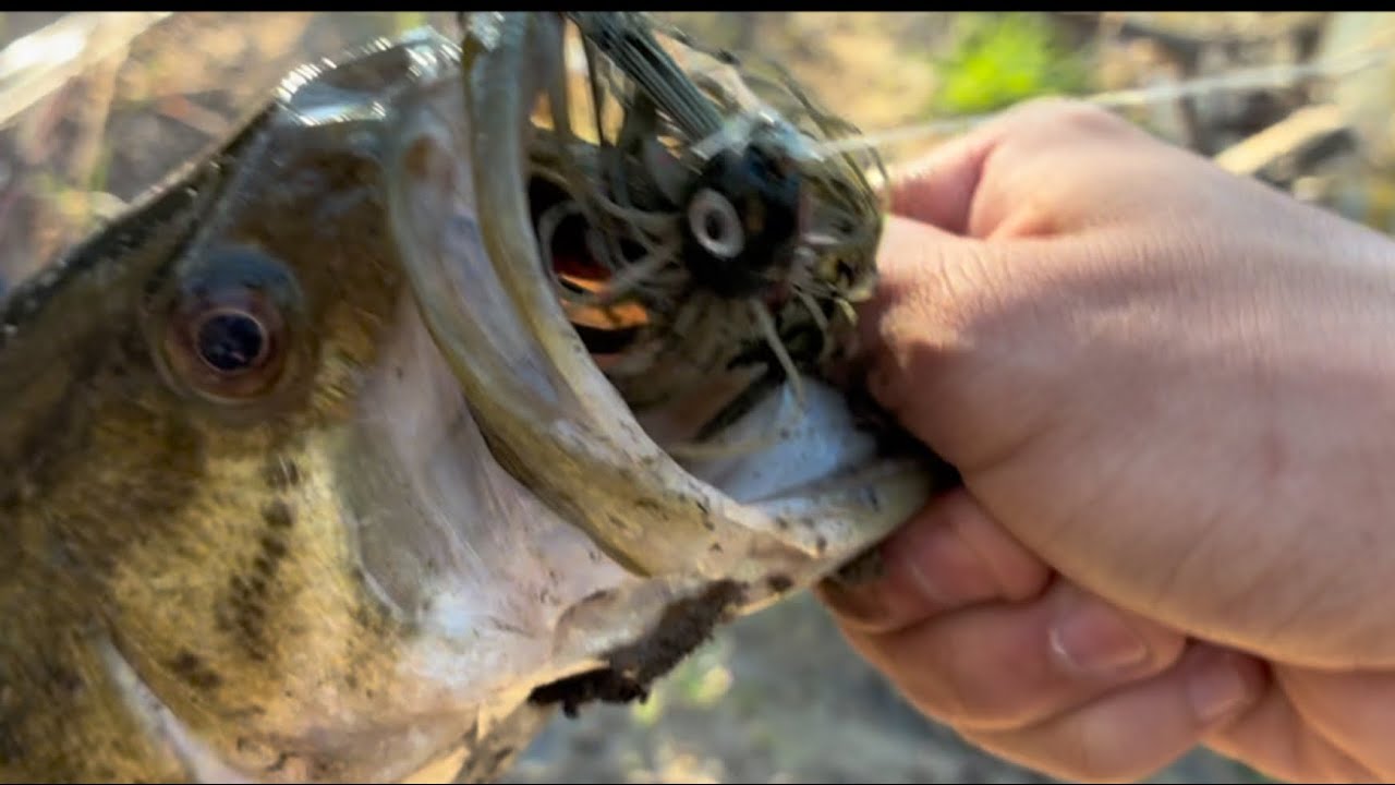 JIGGINJOE CATCHING BASS ON A JIG ! (CREEK FISHING!)