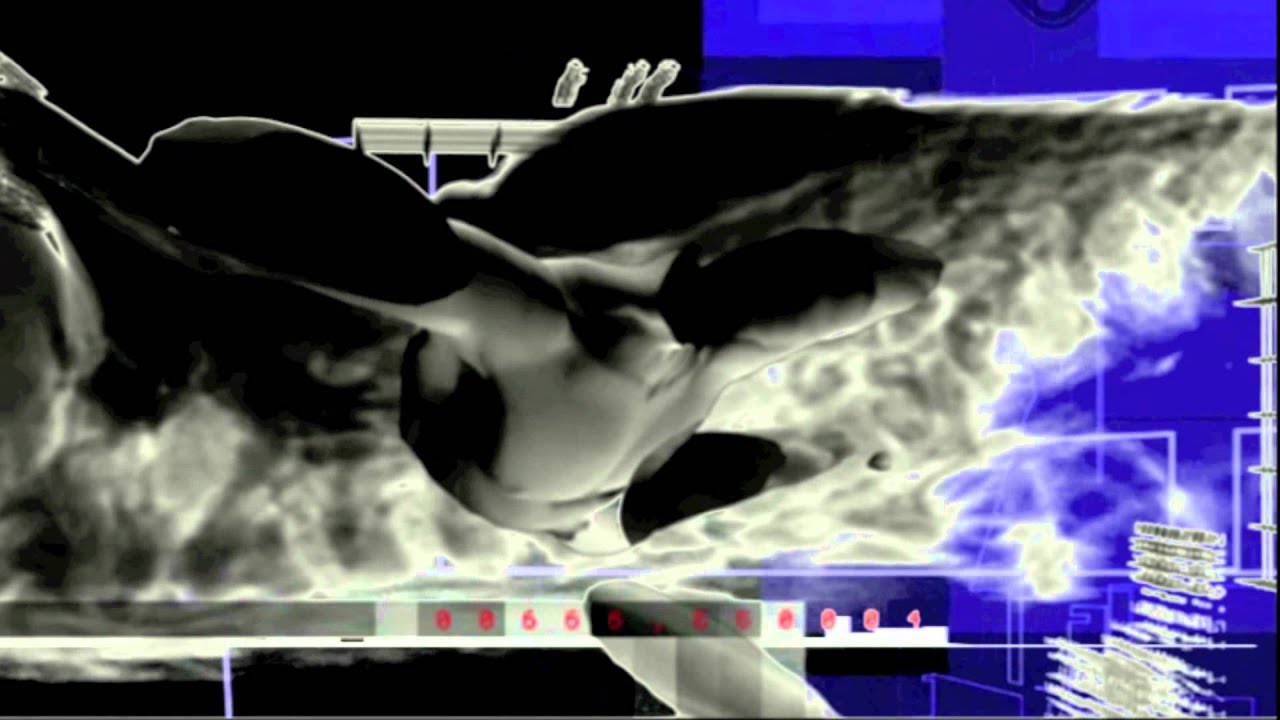 Information Society 