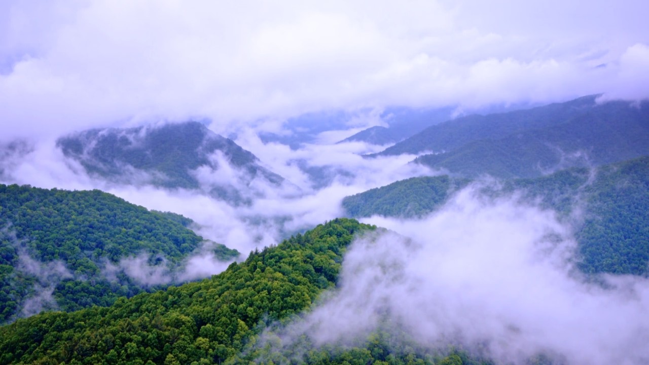 Great Smoky Mountains National Park - Scenery and Wildlife