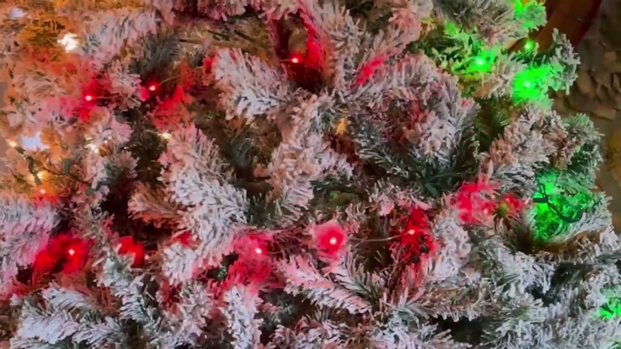 BrizLabs Smart Fairy String Lights on our 9 foot Christmas Tree - 1 strand used