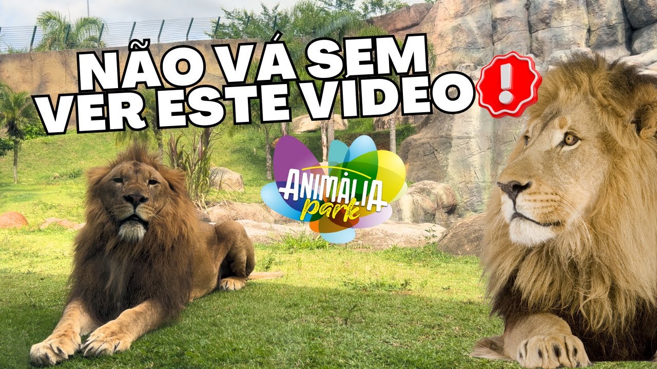 ANIMÁLIA PARK | VALE A PENA