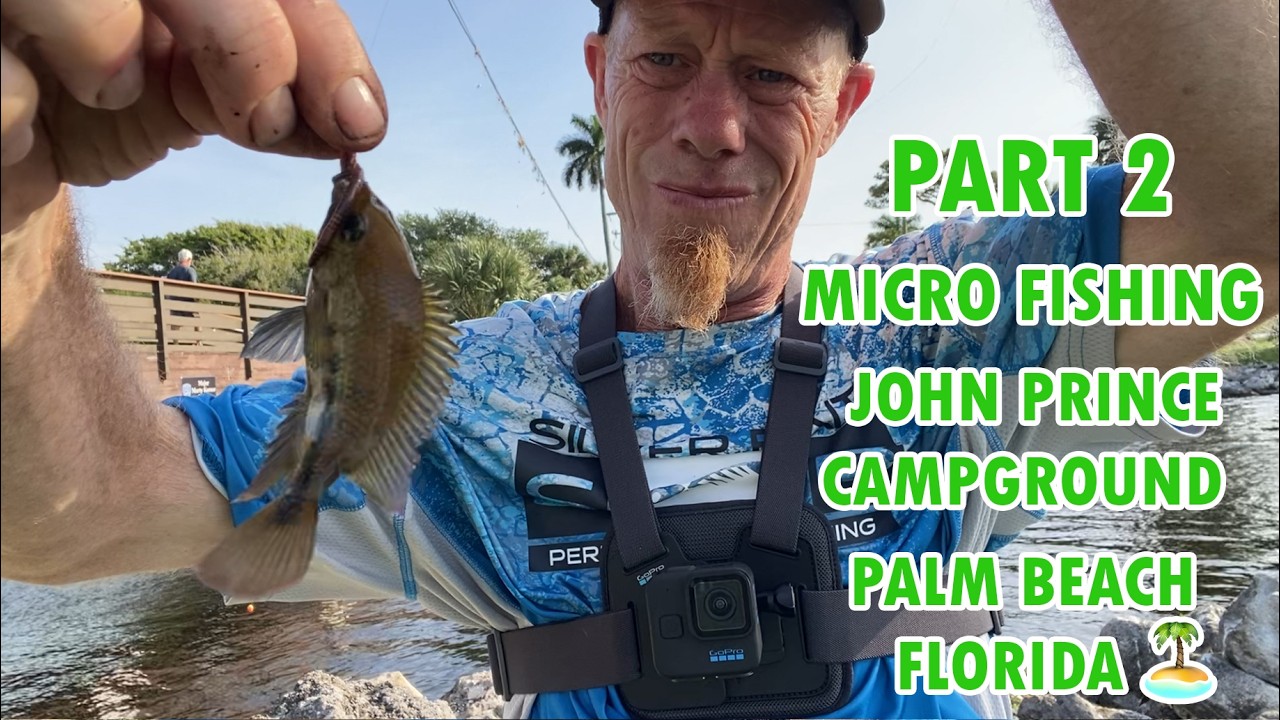 Micro fishing Palm Beach 🏝️Part2 #fishing #florida #redrabbit'stoutdooradventures