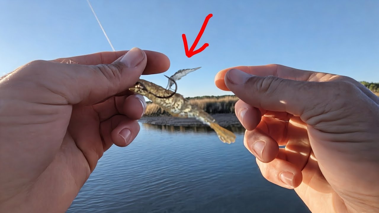 Эти крошечные креветки сводили с ума окуня! (Они выставили меня дураком!)