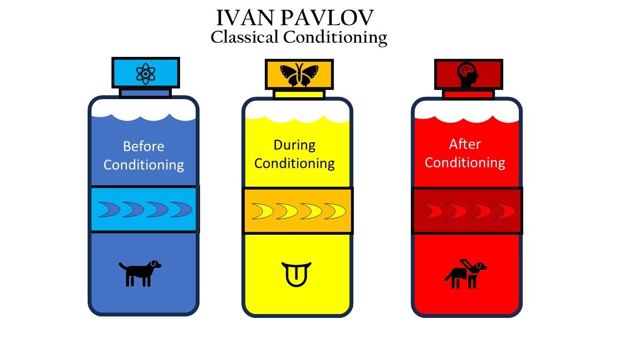 Ivan Pavlov (Classical Conditioning)