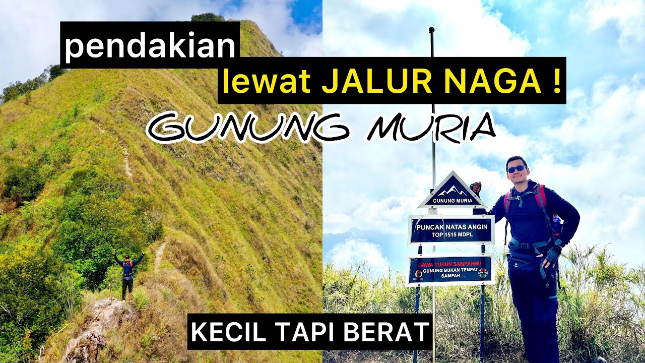 PENDAKIAN GUNUNG MURIA VIA RAHTAWU PUNCAK NATAS ANGIN