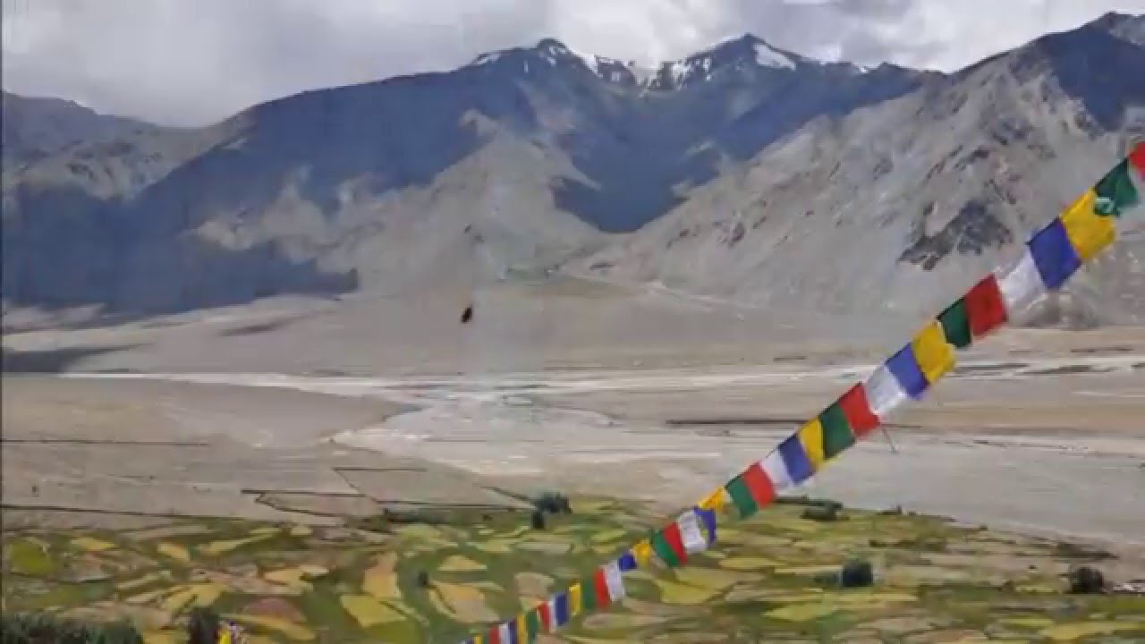 Stongdey Monestary ll Top Things to do in Zanskar ll Leh, Ladakh & Zanskar
