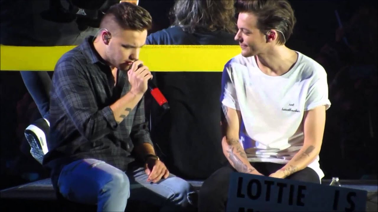 One Direction OTRA tour moments 19